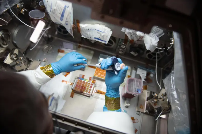 Astronauta w rękawiczkach ochronnych wykonujący eksperyment naukowy w laboratorium Międzynarodowej Stacji Kosmicznej.